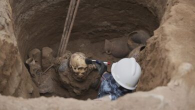 Photo of Уникальные находки: археологи обнаружили останки доинкской культуры в Перу