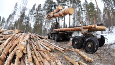 Photo of Руководитель Latvijas valsts meži ушел в отставку